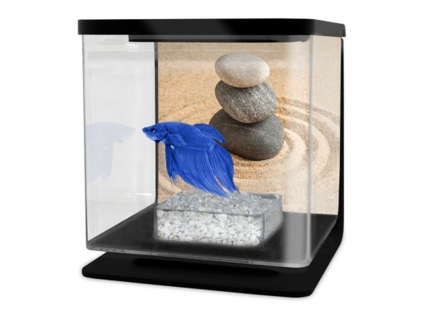 Cat-Gato Betarium Betta kit sand 2l