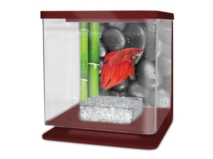 Cat-Gato Betarium Betta kit stones 2 l