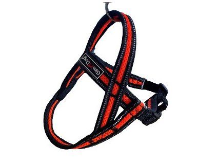 Postroj Gimborn Mesh Y 1,5 x 40 40-45 cm oranžový
