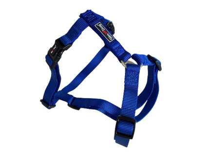 Postroj Gimborn Nylon H 1,0 x 33-44 cm modrý