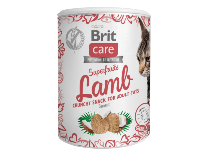 Brit Care Cat Snack Superfruits Lamb 100 g