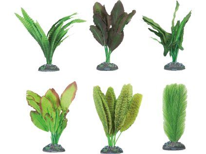 Flamingo akvarijní rostliny mix CONGO XS