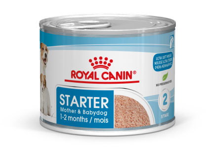 Royal Canin CHN MINI STARTER MOUSSE 195 g