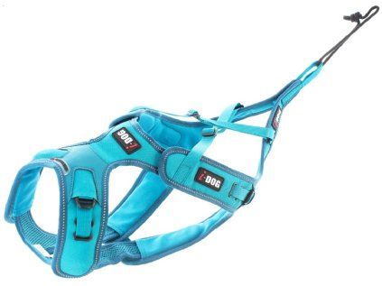I-Dog ALM Phoneix postroj, modrý XS