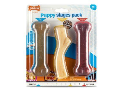 Nylabone hračka Puppy kost příchuť kuřecí, slanina+javor.sirup, hovězí M 3ks
