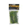 Malaysian Fern – Přírodní keřová rostlina S