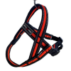 Postroj Gimborn Mesh Y 2,5 x 70 72 - 90 cm oranžový