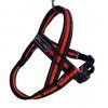 Postroj Gimborn Mesh Y 2,5 x 60 64-80 cm oranžový