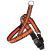 Postroj Gimborn Mesh Y 2,5 x 60 64-80 cm oranžový