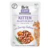Brit Care Cat Kitten Fillets in Jelly with Savory Salmon 85 g
