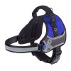 Postroj FERPLAST HERCULES HARNESS BLUE XS