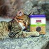 KONG catnip premium 28 g